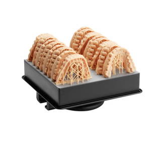 3D Druck Dentalmodel