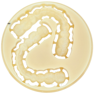 Eldy-Plus STL-Datensatz SNAP-Schiene