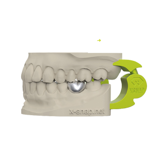 BISS X-SNAP Artikulationsmodul